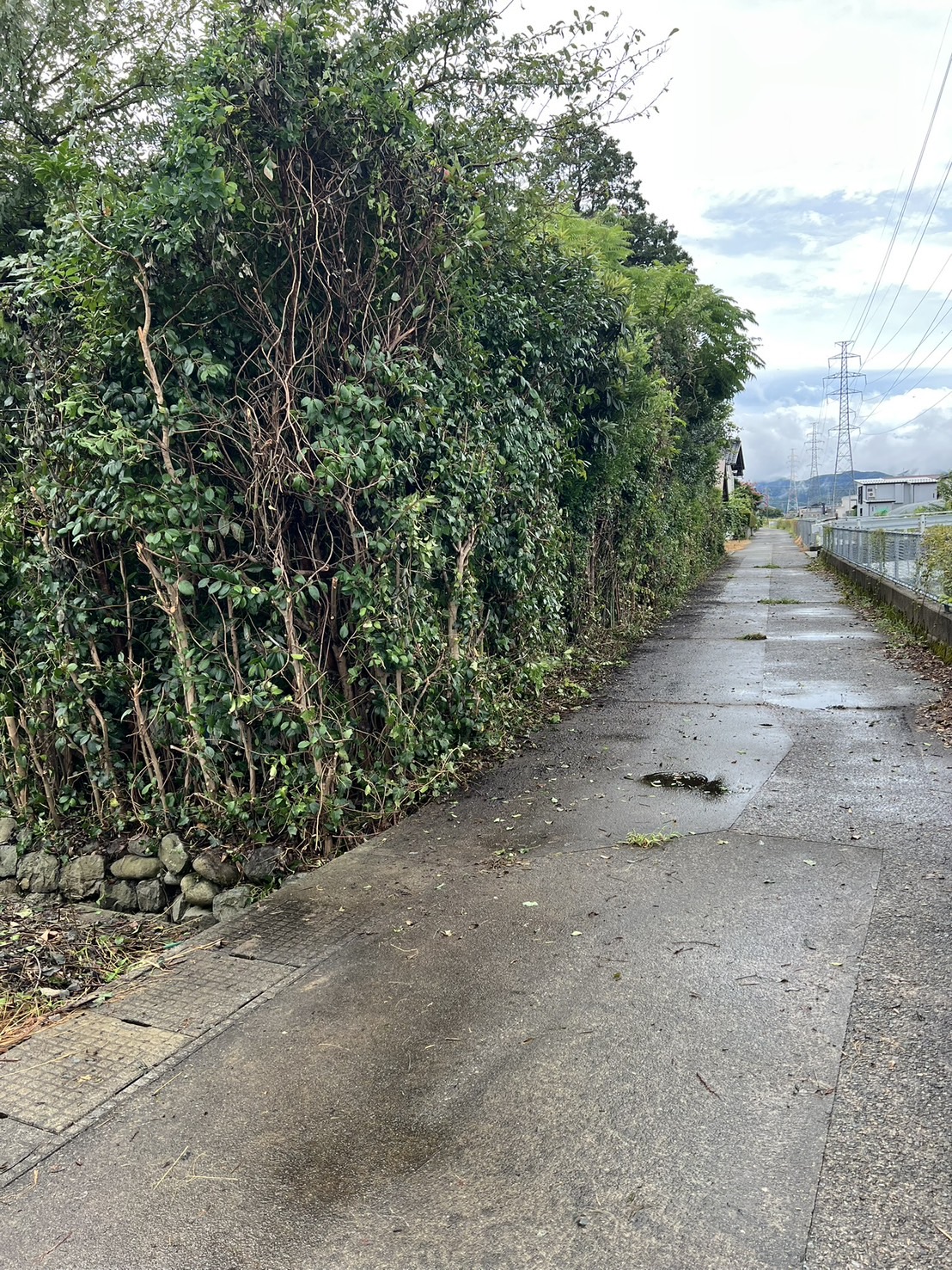 aaa