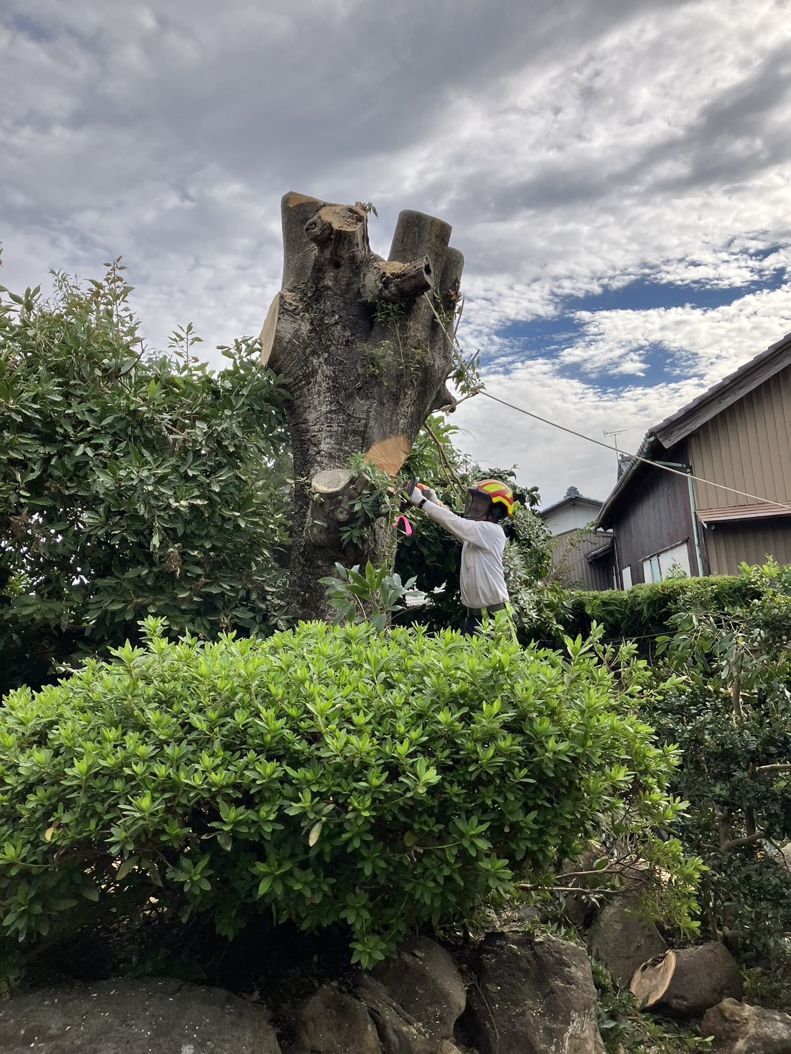 不要な庭木を山口市から伐採して、開放的なスペースに！三井工業があなたのお庭を変えます！いらない庭木を伐採して、開放的なスペースに！三井工業があなたのお庭を変えます！