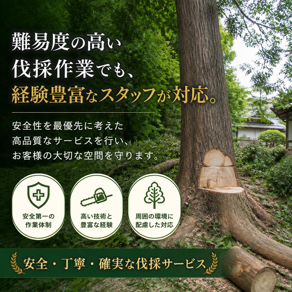 特殊伐採のプロ
