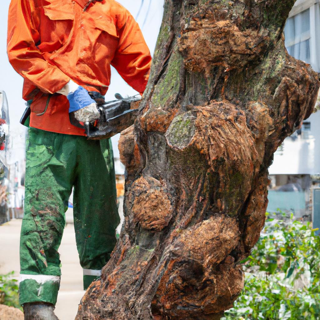 家庭の緑を守る！坂井市の芝生張り替え業者と伐採のプロフェッショナル