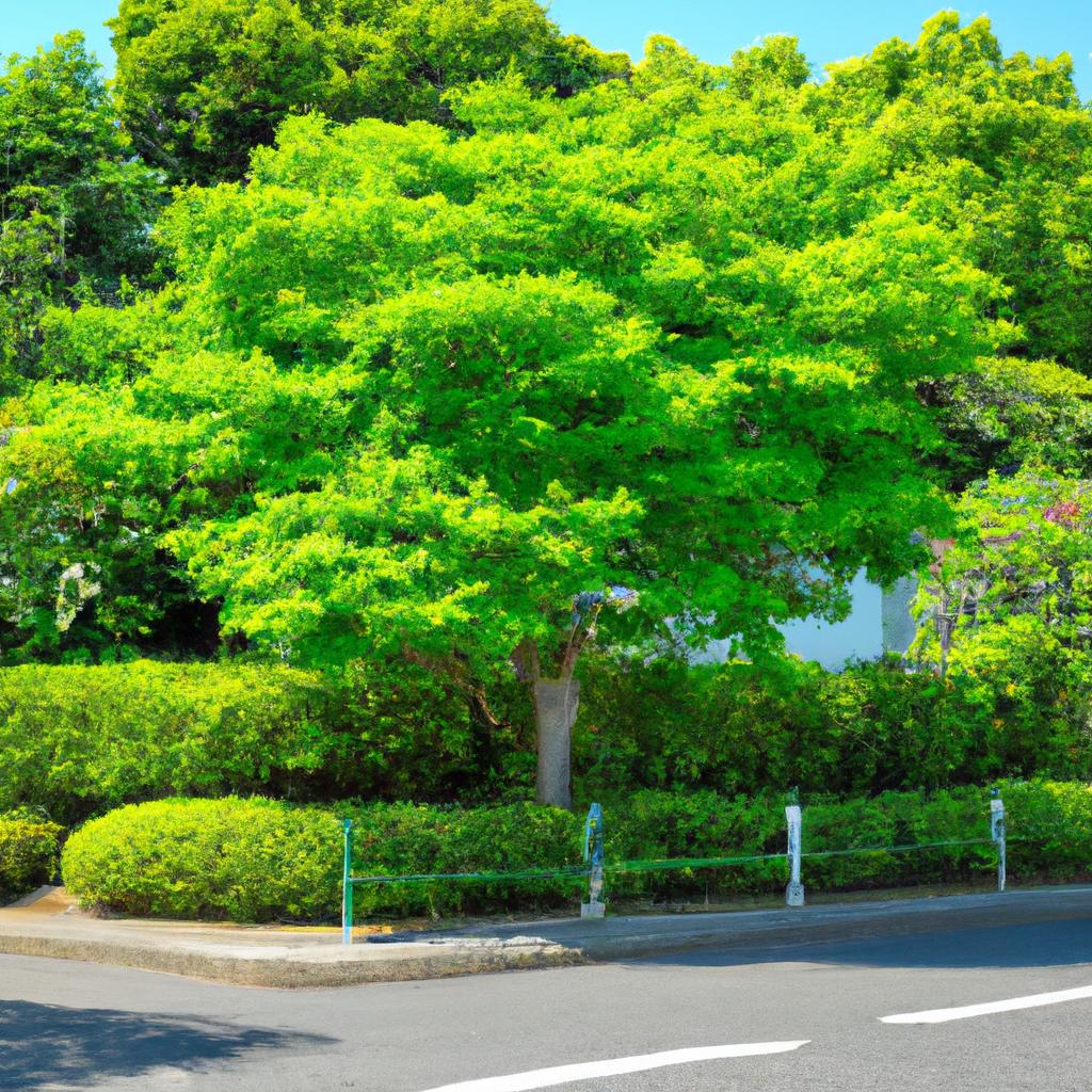下関市でエコな樹木管理と庭園改修をサポートします！