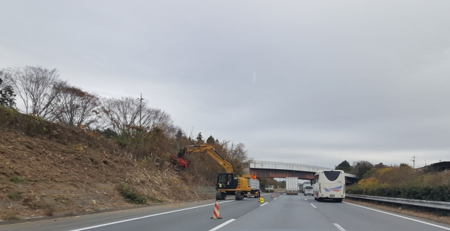 坂井市土地対策のための完全草刈りサービスで、土地管理をスムーズに！